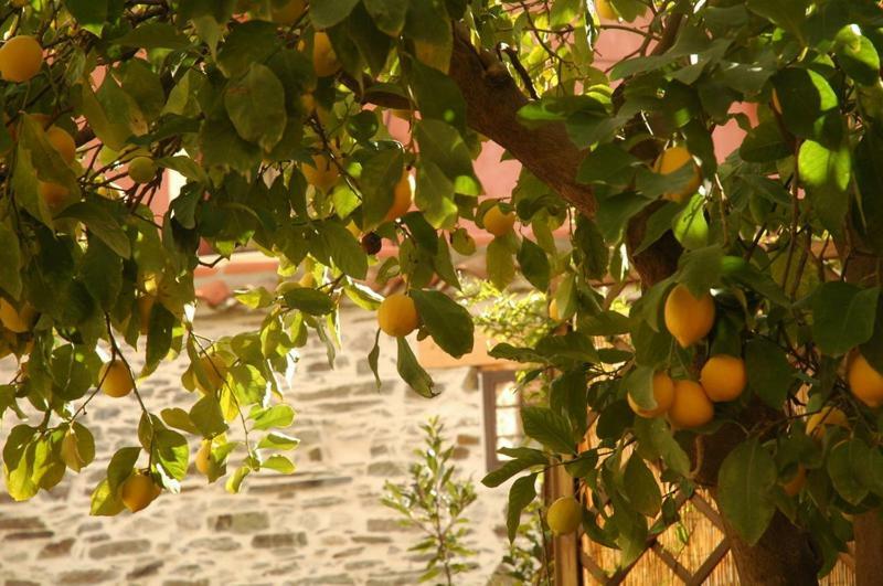 Casa Rural El Arco La Estrella  Eksteriør billede